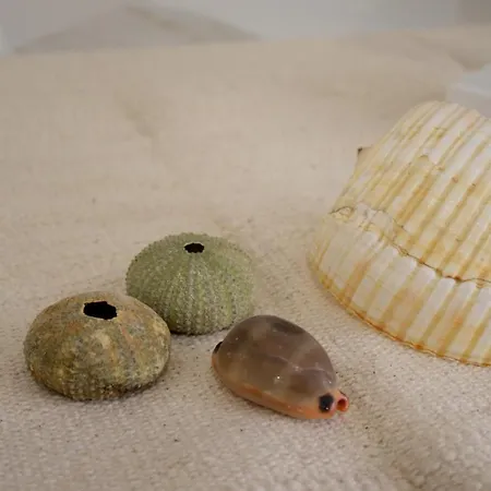 C A S A Di Sabrina Apartman *